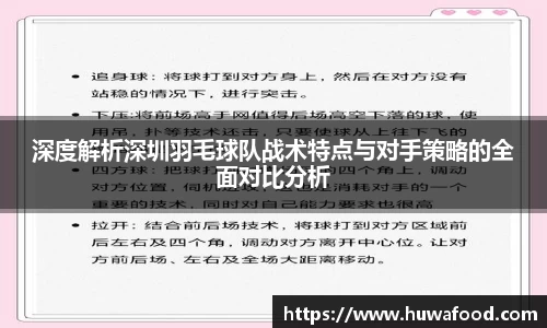 深度解析深圳羽毛球队战术特点与对手策略的全面对比分析