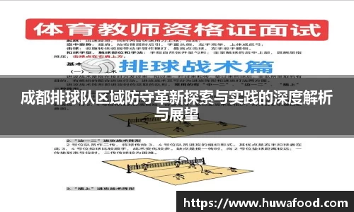 成都排球队区域防守革新探索与实践的深度解析与展望