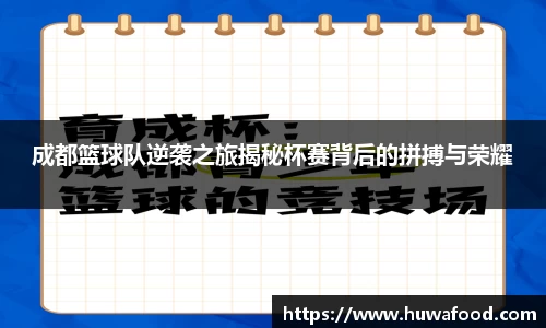 成都篮球队逆袭之旅揭秘杯赛背后的拼搏与荣耀